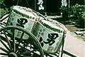 �j�R�𑢂莑����